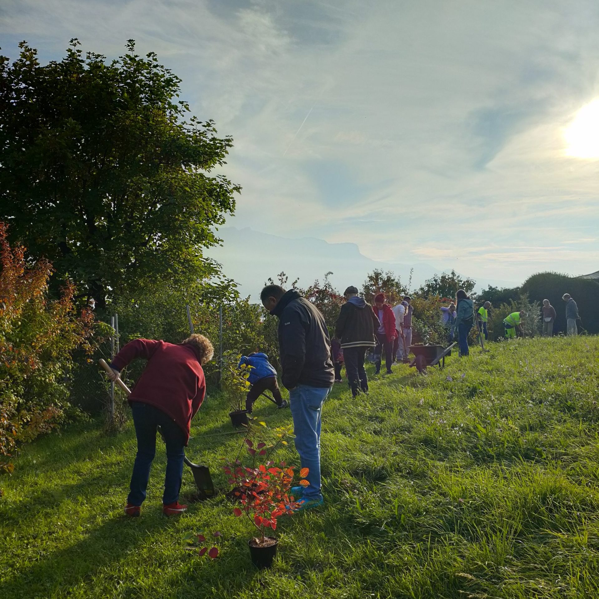 Semaine de la Durabilité