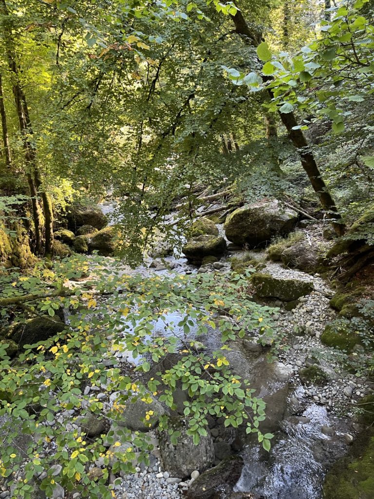 Image 20260927 213619 792 